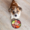 BARF für Hunde – Anfänger Guide