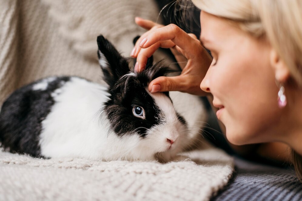 Wie werden Kaninchen stubenrein