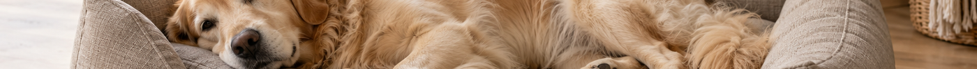 Massband zeigt die nutzbare Liegefläche zwischen den Rändern eines Hundebetts.