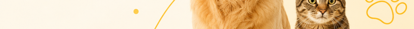 Hund und Katze zur Tierversicherung in der Schweiz – Purrfect Pets und Animalia