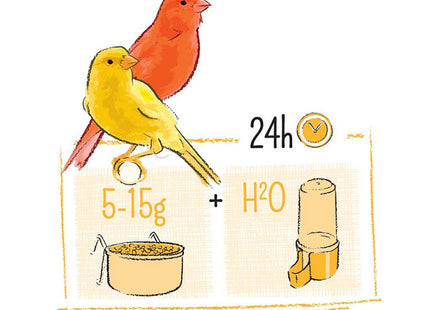 Witte Molen Puur Kanarien Vogelfutter - hochwertiges Futter für Kanarienvögel