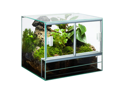 Diversa - Glas Terrarium