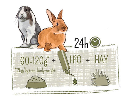 Witte Molen Puur Kaninchen Alleinfutter - 1kg Beutel