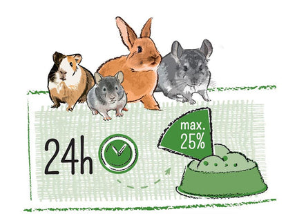 Witte Molen Puur Snack Müsli für Nager 700 g