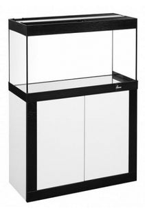 Modernes Aquarium-Set in Weiss und Schwarz von Diversa