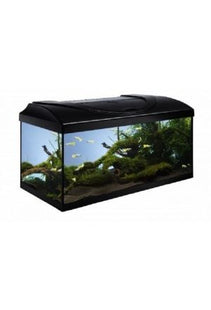 Schwarzes Aquarium-Set für den perfekten Start in die Aquaristik