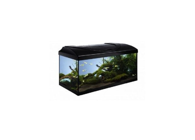 Schwarzes Aquarium-Set für den perfekten Start in die Aquaristik