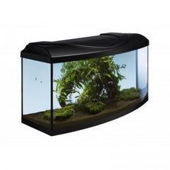 Aquarium-Set in elegantem Schwarz mit gebogener Form für den perfekten Start