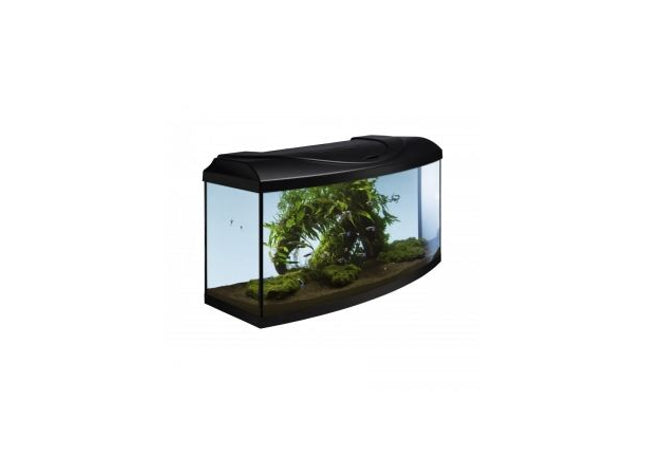 Aquarium-Set in elegantem Schwarz mit gebogener Form für den perfekten Start
