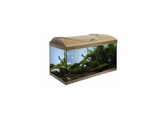 Modernes Aquarium-Set in gerader Buchenoptik für den perfekten Start