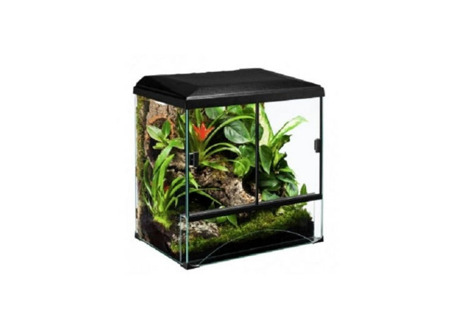Diversa Terraset Forest 45 - Hochwertiges Terrarium für Reptilien und Amphibien