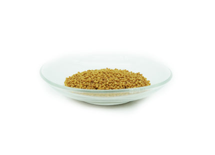 Aquaris Cichlid Sticks - Hochwertiges Aquarium Fischfutter für Cichliden