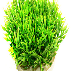 Sydeco Green Moss 7 cm - Dekoratives Moos für Aquarien und Terrarien