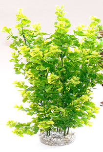 Grüner Schmetterling aus Kunststoff für natürliche Dekoration