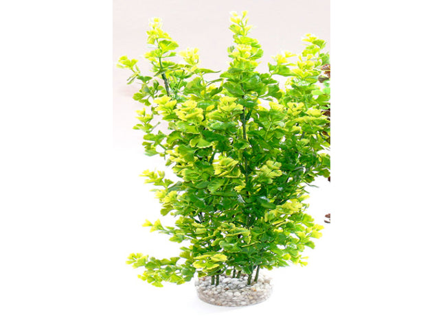 Grüner Schmetterling aus Kunststoff für natürliche Dekoration