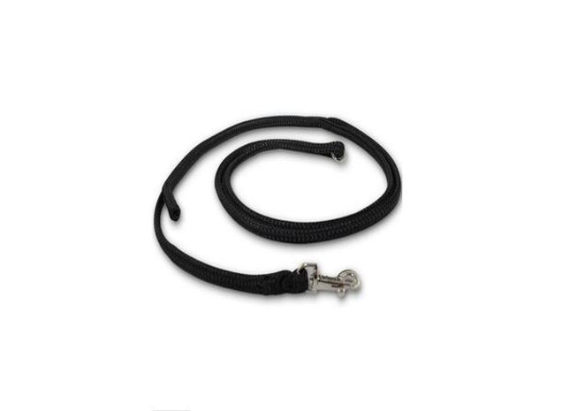 Schwarze Dino Hundeleine mit Easy-Locking-System