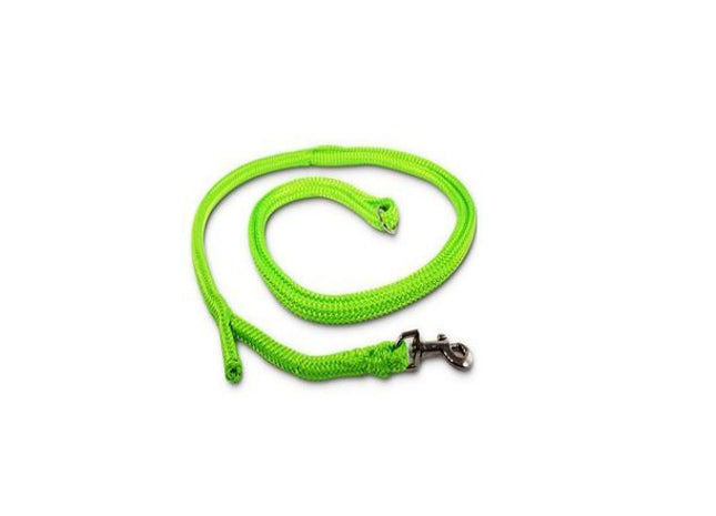 Neon-grüne Hundeleine mit Easy-Locking-System für Dino-Liebhaber