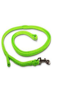 Neon-grüne Hundeleine mit Easy-Locking-System für Dino-Liebhaber