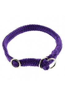 Lila Dinosaurier-Halsband für Haustiere