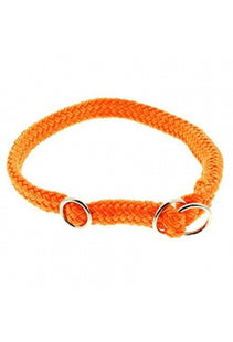 Neonorangenes Dinosaurier-Halsband für deinen stylischen Vierbeiner