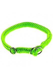 Neongrünes Dino-Halsband für deinen stylischen Vierbeiner