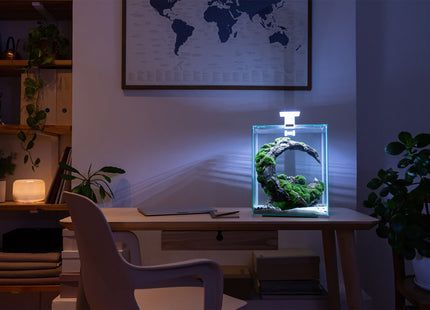 Aquael Shrimp Set DN 20 in elegantem Schwarz - perfekt für Garnelenliebhaber!