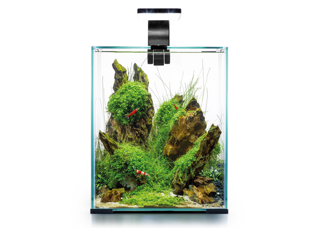 Aquael Shrimp Set DN 20 in elegantem Schwarz - perfekt für Garnelenliebhaber!