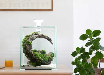 Aquael Shrimp Set DN 20 in Weiss - perfekt für Garnelenliebhaber!