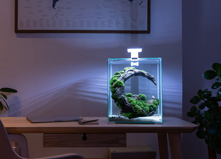 Aquael Shrimp Set DN 20 in Weiss - perfekt für Garnelenliebhaber!