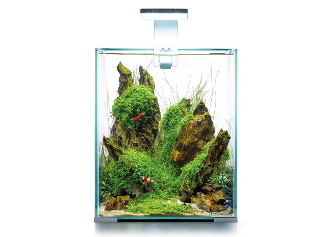 Aquael Shrimp Set DN 20 in Weiss - perfekt für Garnelenliebhaber!