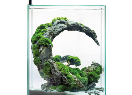 Aquael Shrimp Set in Schwarz - Tag und Nacht Beleuchtung