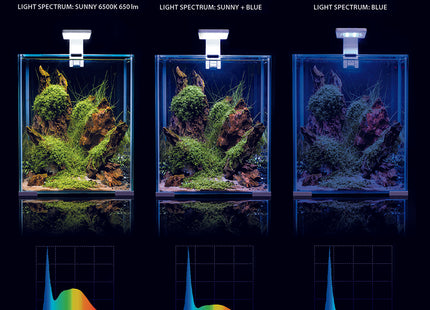 Aquael Shrimp Set in Schwarz - Tag und Nacht Beleuchtung