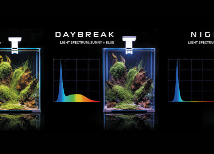 Aquael Shrimp Set in Weiss, Tag-Nacht-Beleuchtung