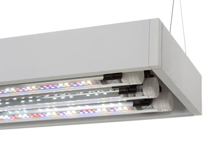 Aquael Ultrascape Schnee Set - realistisches Dekorationsset für Aquarien und Terrarien