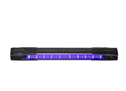 Aquael Leddy Slim Actinic Schwarz 20: Hochwertige Aquariumbeleuchtung für lebendige Korallen