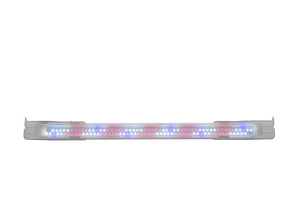 Elegante weisse Aquarienpflanze für Aquael Leddy Slim 20