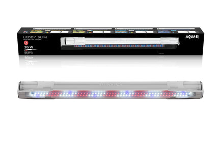 Elegante weisse Aquarienpflanze für Aquael Leddy Slim 20