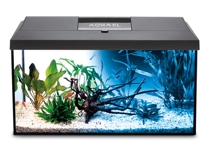 Aquael LEDDY 60 Aquarium Set in elegantem Schwarz - für ein stilvolles Zuhause für deine Fische