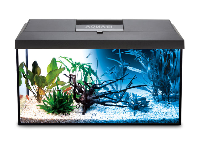 Aquael LEDDY 60 Aquarium Set in elegantem Schwarz - für ein stilvolles Zuhause für deine Fische