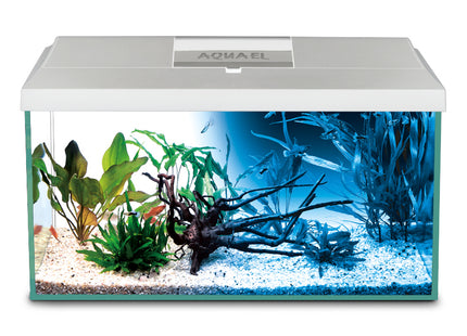 Aquarium-Set LEDDY 60 Weiss DN 20: Modernes Design für Ihr Zuhause