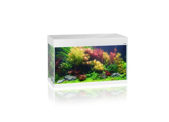 Aquarium-Set in Weiss, 20 Liter, von Aquael