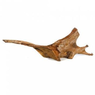 Aquael Mangrovenwurzel S