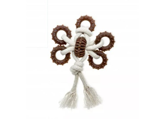 Aquael Comfy Toy Dental Toother Eco Woody 20 cm - hochwertiges Hundespielzeug aus umweltfreundlichem Material