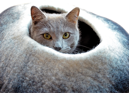 Handgefertigte Dharma-Karma-Höhle in Ombre Schwarz-Weiss