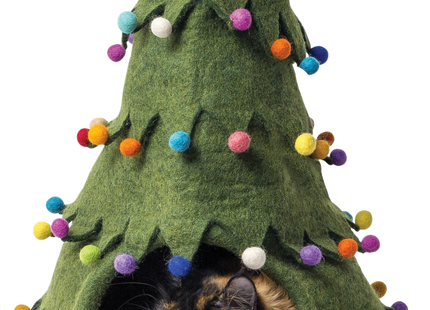 Grüner Weihnachtsbaum in Dharma-Karma-DDKC-Höhle