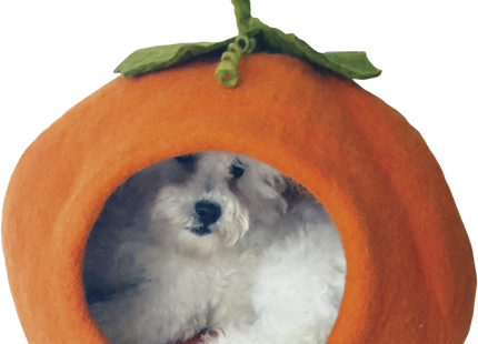 Handgefertigter Kürbis-Orangen-Dekor für gemütliche Herbstabende