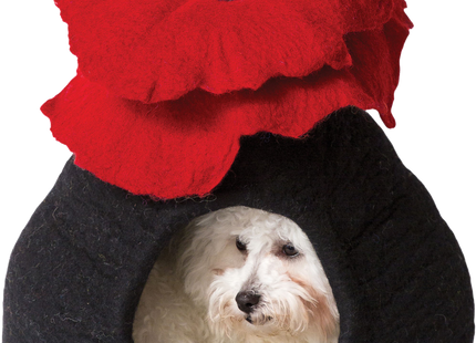 Schwarzes Bouquet für eine entspannende Höhlenatmosphäre