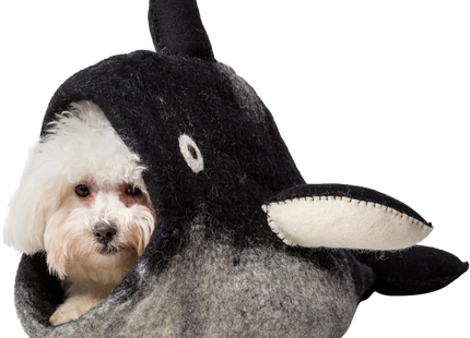 Schwarzer und weisser Orca in der Dharma Karma Höhle