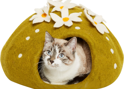 Dharma Karma Höhle Kaktus grün - Dekorativer Kaktus für ein harmonisches Zuhause