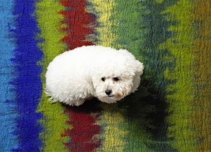 Buntes Yoga-Matte in Grün, Rot und Blau mit Ombre-Effekt